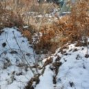 양항1리마을회관 이미지