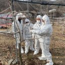 괴산군농업연구소 이미지