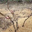 기운농장 이미지