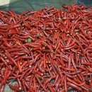 고개농장 이미지