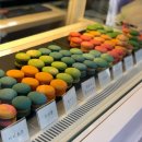 멍냥이발소 이미지