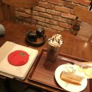 오케이참병원 앞 이미지