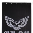 대자신발 Daum카페