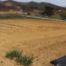 산아래 하우스 이미지