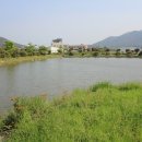 장흥군관산읍보건지소 네이버블로그