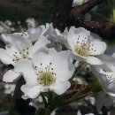 이화농장 이미지