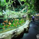 한국해양수조공사 이미지