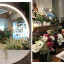 플라워&홈가드닝 이미지