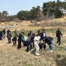 안정왕겨 이미지