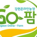 다래팜 네이버블로그