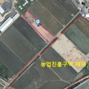 진흥2농장 이미지