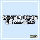 **응급의료비 대불제도를 아시나요?** 이미지