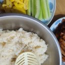 고라니김밥 네이버블로그