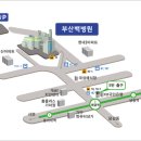 인제대학교 부산백병원 이미지