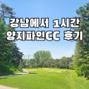 양지파인CC 용인골프장 솔직 라운딩 후기 울창한 조경속 아쉬웠던 잔디 상태(남코스/서코스)