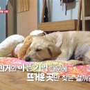 로이농장2 네이버블로그