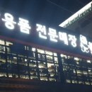 판다팜신갈