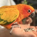 경주버드파크 이미지