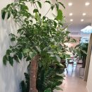 맘편한여성의원 이미지