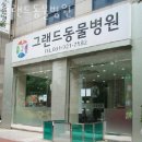 그랜드 동물병원 이미지