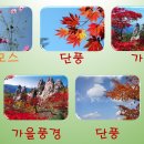 동물의 분류 이미지