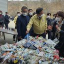 금강유화 이미지