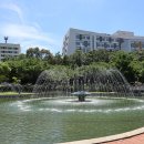 경북대학교 이미지