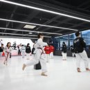 품 태권도 이미지