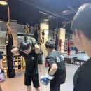 청주체육관 | 청주체육관 다채로운 운동 경험, 청주 KMGYM 가경강서점 후기