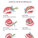 한국치과병원 | 무서운 것이었다니...?! (시린니 순천한국병원 치과 방문 후기, 시린니 원인과 증상, 치경부마모증...