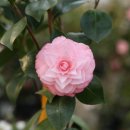 가빈농장 이미지