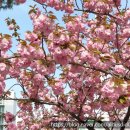 서영공인중개사사무소 이미지