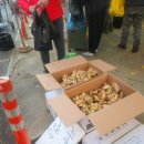 동부(수산물)시장 이미지