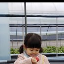 조동농장 이미지