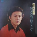 잊기전에 / 남궁선 (1979) 이미지