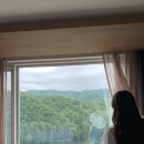 광천수약국 | 강원도 평창 여행 휘닉스파크 마운틴뷰 호텔 후기 — 블루캐니언 워터파크 포레스트 캠핑 바베큐 곤돌라...