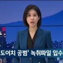 &#39;도이치 공범&#39; 녹취 입수 &#34;임성근 사표 막았다, VIP에 얘기하겠다&#34; 이미지