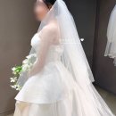 실크 | 제이스포사 본식가봉 드레스 후기 - 오간자실크드레스