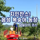 용인한우농장 | 아이와 가볼만한곳] 지인 찬스 프라이빗 농촌 체험부터 뷰 맛집 한우, 폭포 카페까지 당일치기 완벽 코스 🗺️