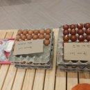 수 사우나 찜질방 네이버블로그