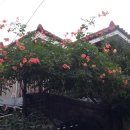 만수4동-10 이미지
