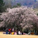 스카이드림투어 이미지