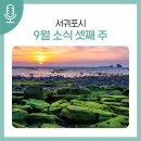 제주공천포전지훈련센터 주경기장 | 서귀포시 9월 소식 (셋째 주)