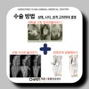 목동찬동물의료센터 이미지