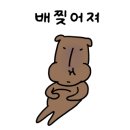 신금분식