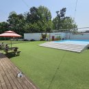 썸바디 독스 이미지