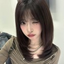 하루나 Daum카페