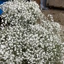 태림농장 이미지