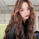 미모고양이 이미지