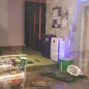 c&s 골프존 이미지